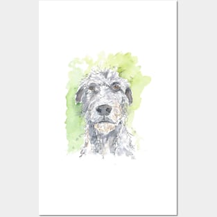 Irish Wolfhound watercolour pen drawing Posters and Art